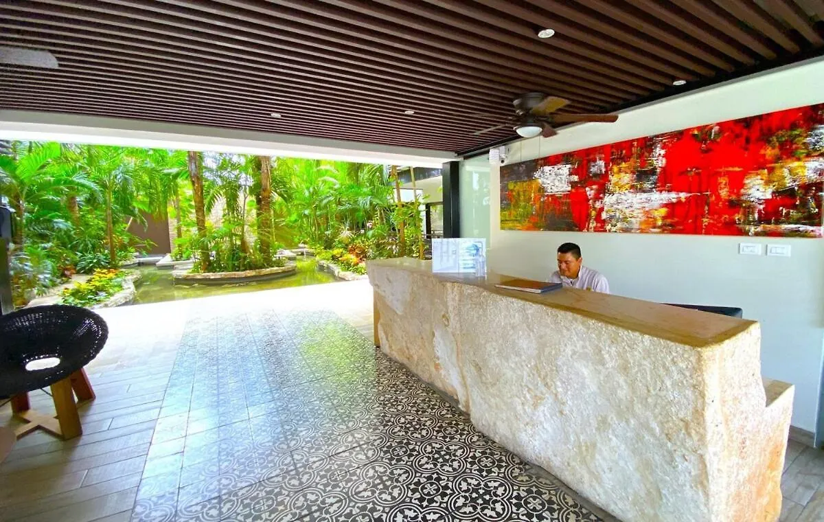 公寓 普拉亚卡门Seaview Roof Pool, Gym Onsite, 4 Blocks To 5Th Ave公寓