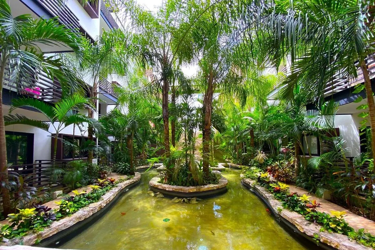 普拉亚卡门Seaview Roof Pool, Gym Onsite, 4 Blocks To 5Th Ave公寓