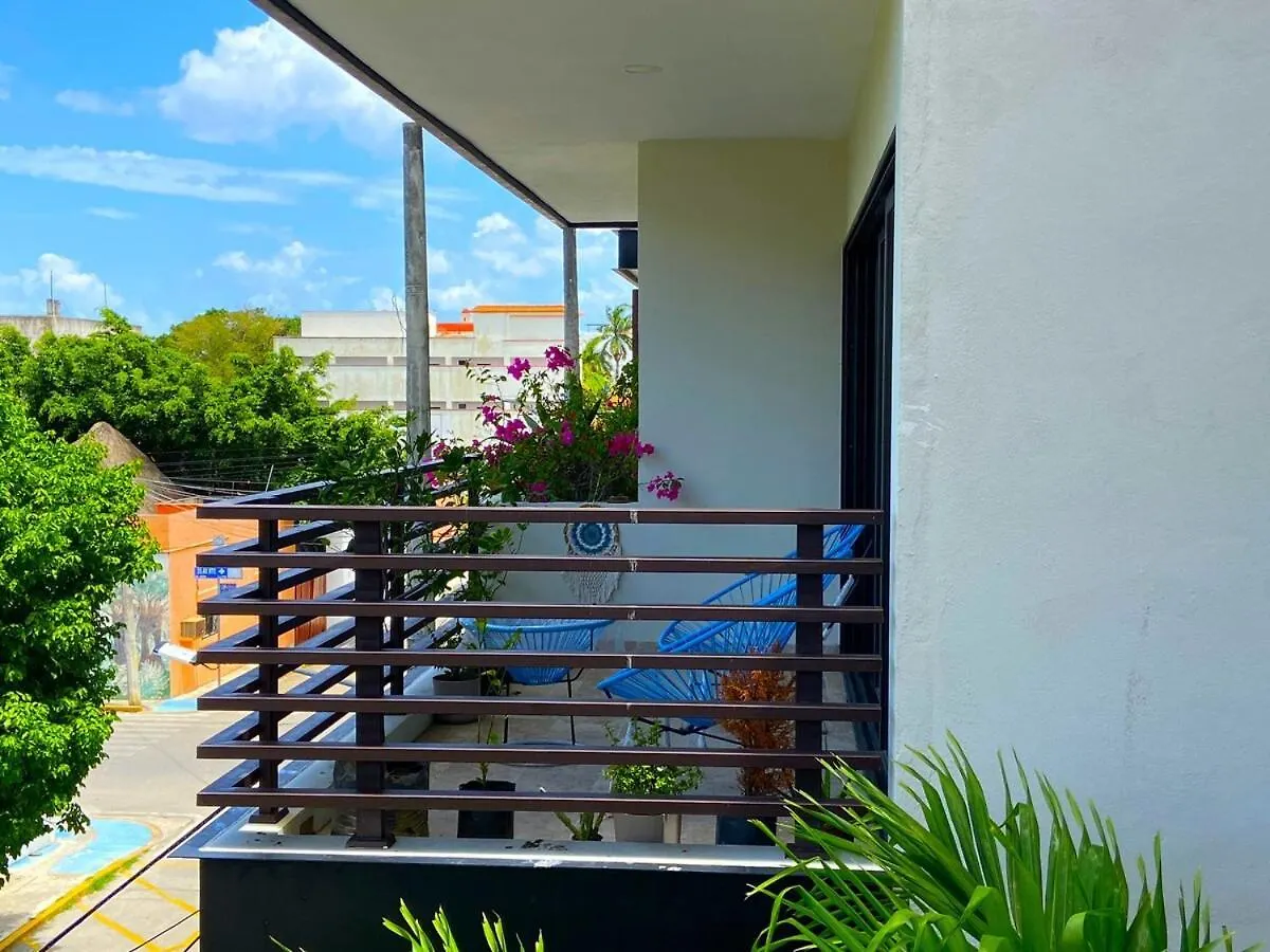 公寓 普拉亚卡门Seaview Roof Pool, Gym Onsite, 4 Blocks To 5Th Ave公寓