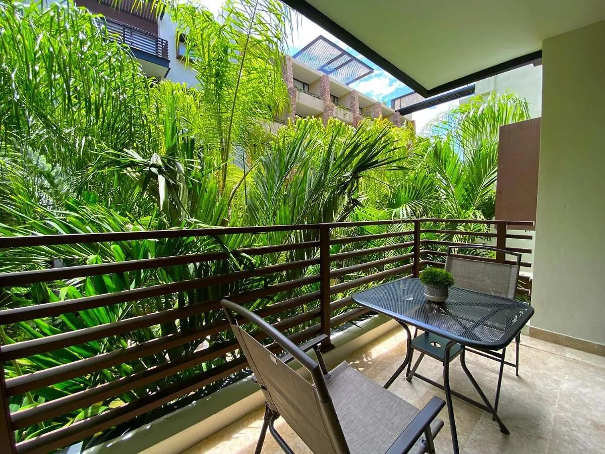 普拉亚卡门Seaview Roof Pool, Gym Onsite, 4 Blocks To 5Th Ave公寓 公寓